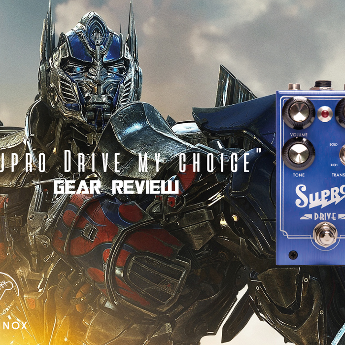 Supro Echoinox Review transformer in a stompbox