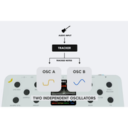 echoinox bananana effects quimera