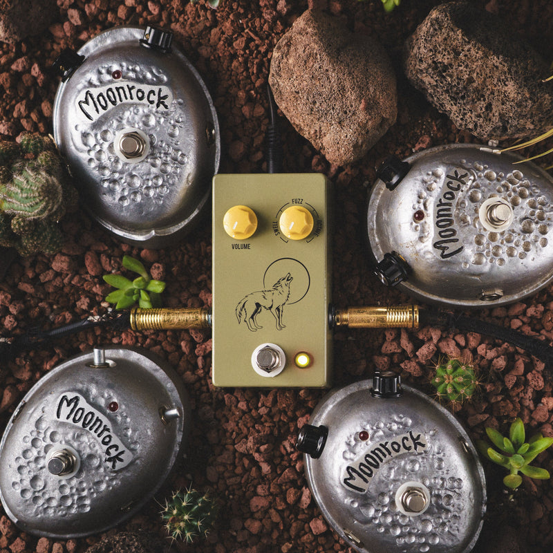 JHS Coyote with Moonrock reference