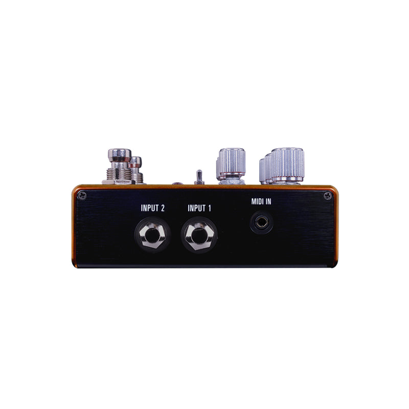 Source Audio Pathways inputs