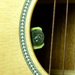 Pure Mini Acoustic Pickup Echoinox Singapore