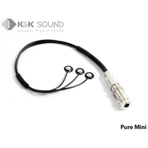 Pure Mini Acoustic Pickup Echoinox Singapore